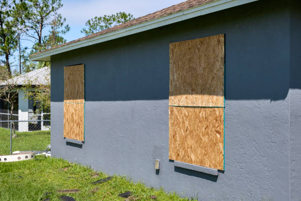 Best Custom Siding Design  in Conway, FL